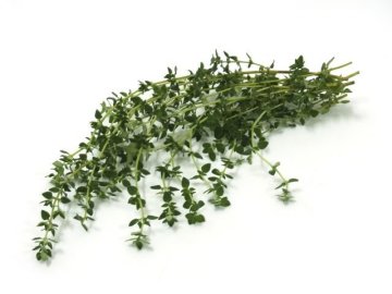 Tymián
